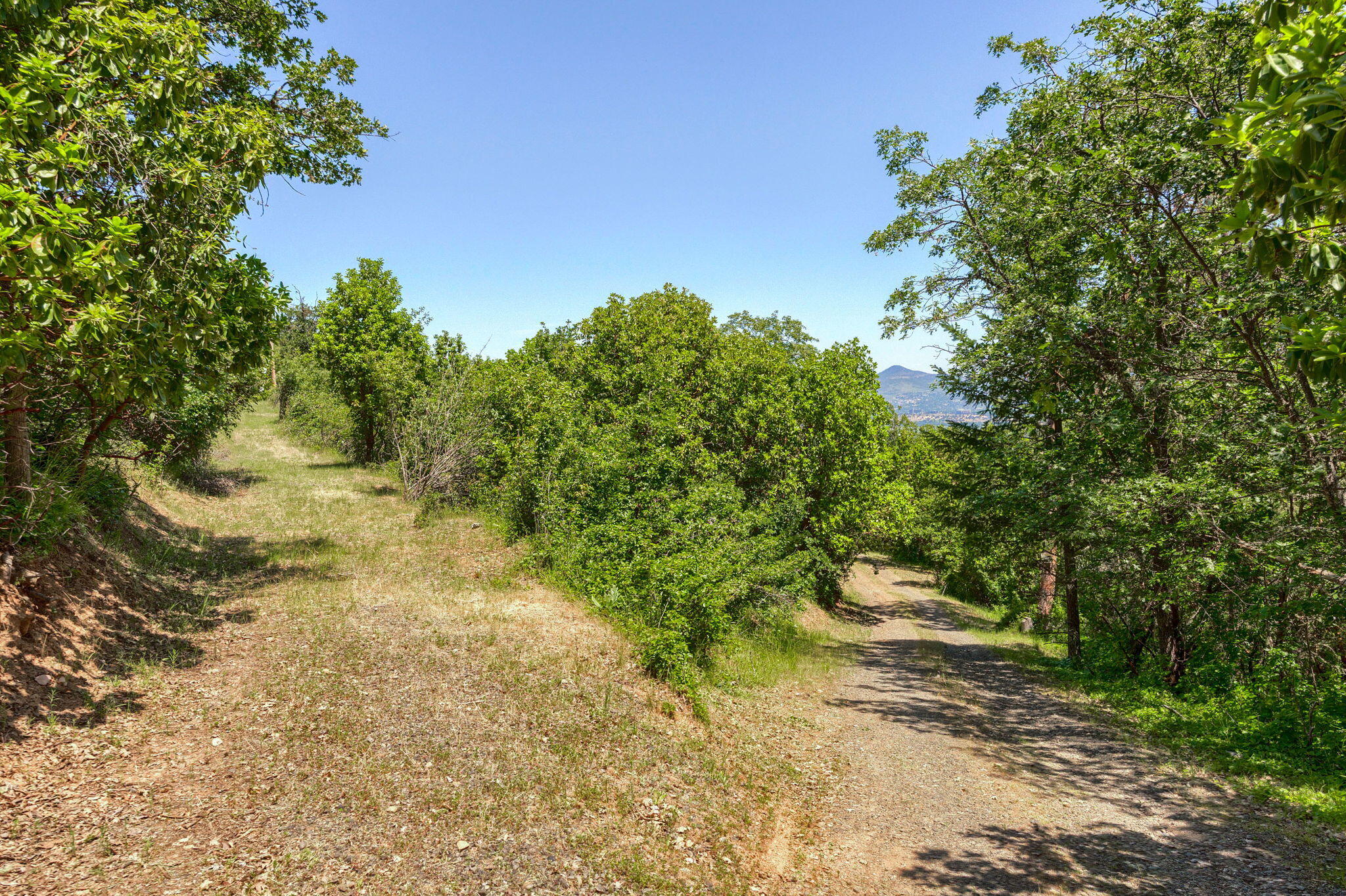 4852 Dark Hollow Road Medford, OR 97501 - Photo 18 of 27 DH (26)