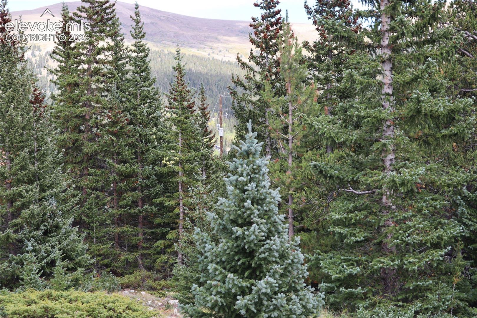 1480 Roberts Road Alma, CO 80420 - Photo 15 of 26 Gallery Image 15
