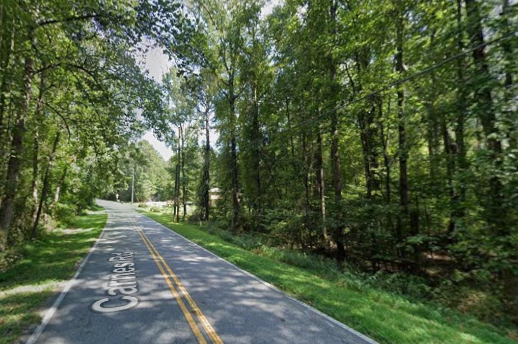 0 Carnes Road Jonesboro, GA 30236 - Photo 1 of 2 a view of a park with large trees
