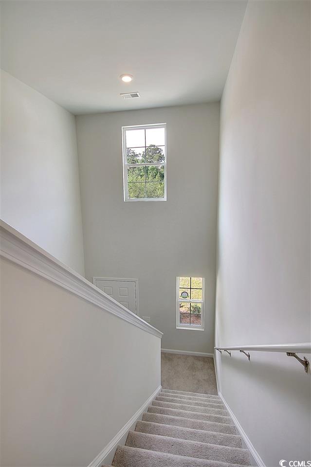 1226 Patchouli Loop Longs, SC 29568 - Photo 17 of 36 Gallery Image 17