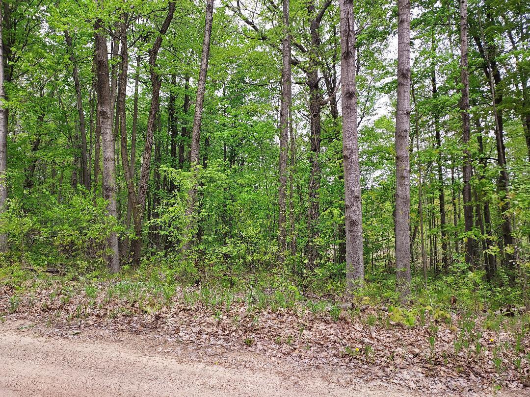 Deer Lake Estates Lot 66 3