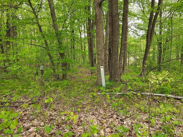 $6,000 | 0 Buck Lane, Unit 66, Harrison, MI 48625