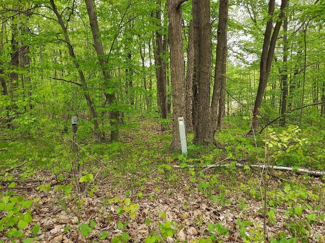 $6,000 | 0 Buck Lane, Unit 66, Harrison, MI 48625