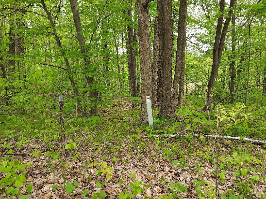 0 Buck Lane, Unit 66 Harrison, MI 48625 - Photo 4 of 4 Deer Lake Estates Lot 66