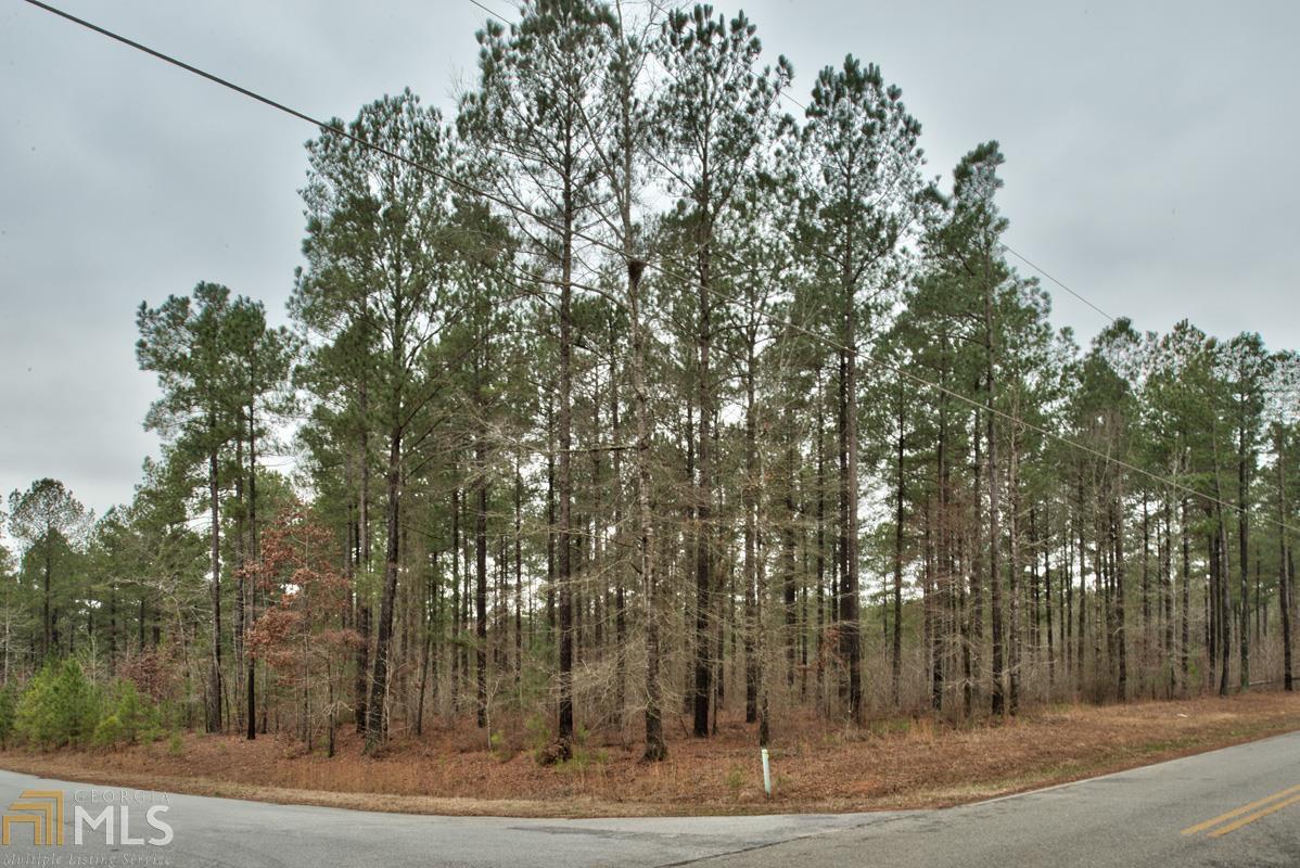 0 North Sugar Creek Road, Unit 16 Buckhead, GA 30625 - Photo 1 of 1 a view of a yard