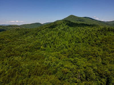 0 Caney Br Road Murphy, NC 28906 - Photo 3 of 12 Gallery Image 3