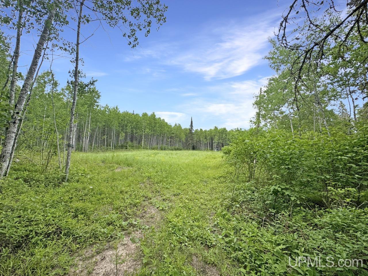 730 Premo Creek Road Crystal Falls, MI 49920 - Photo 47 of 91