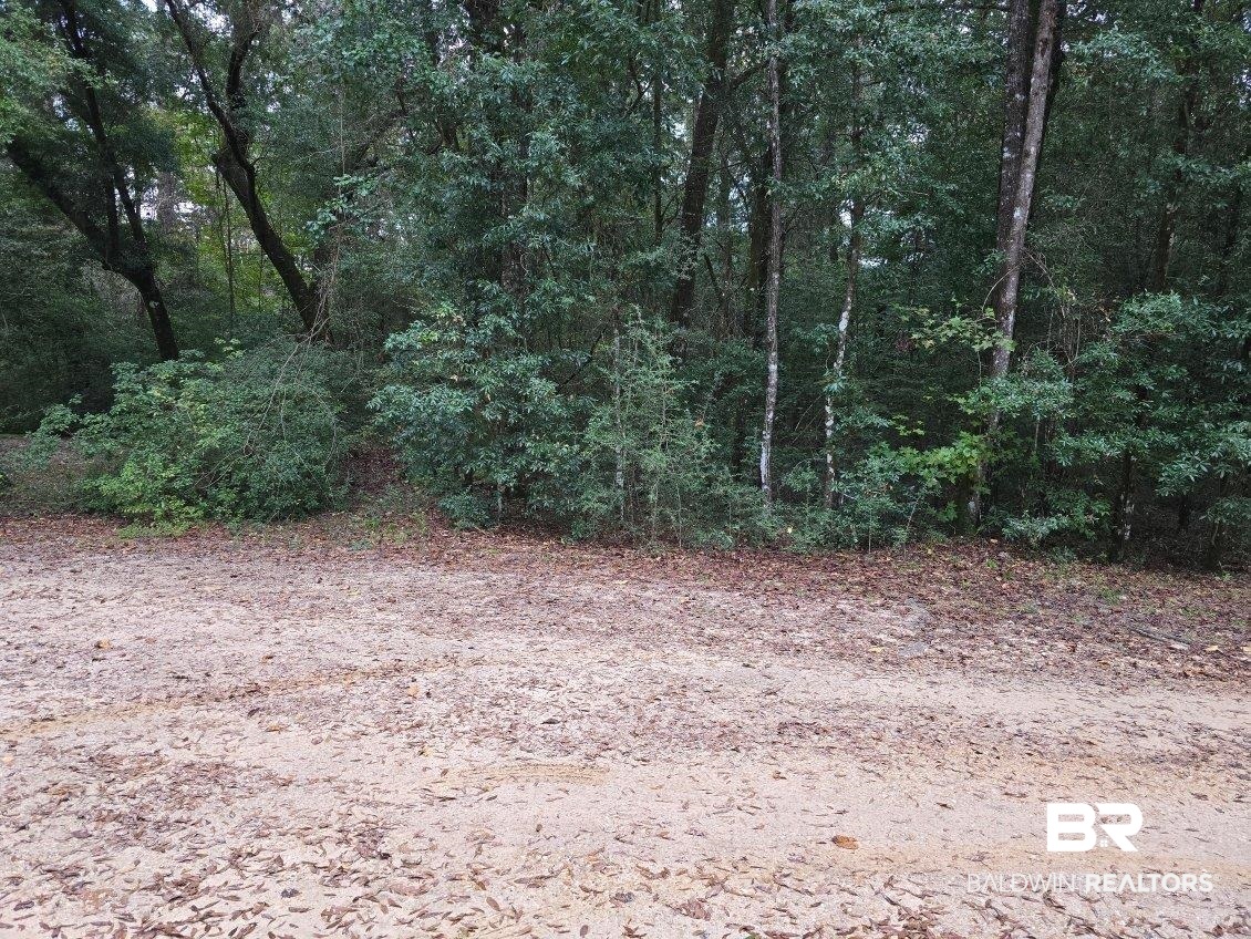 0 Gloria Lane Brewton, AL 36426 - Photo 3 of 3 View of nature