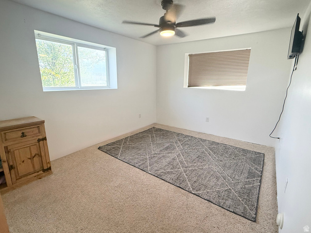 333 Lago Liberty Road Grace, ID 83241 - Photo 39 of 39 Wall-to-wall carpeting, two windows providing natural light, and a ceiling fan with integrated lighting