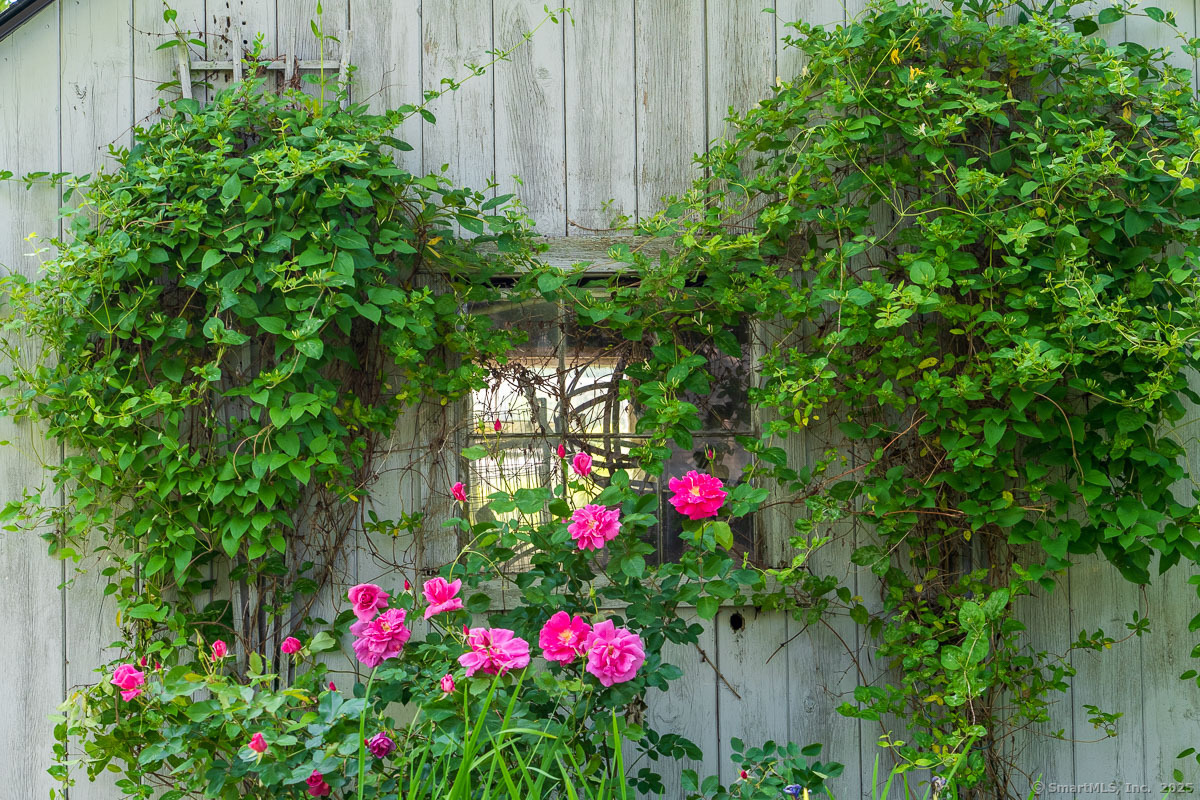 105 River Road Groton, CT 06355 - Photo 11 of 39 a view of a flower in a garden of a house