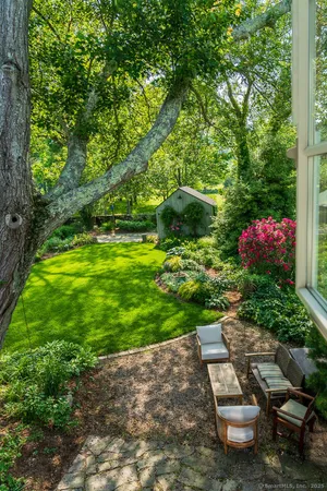 a view of a garden with plants and large trees