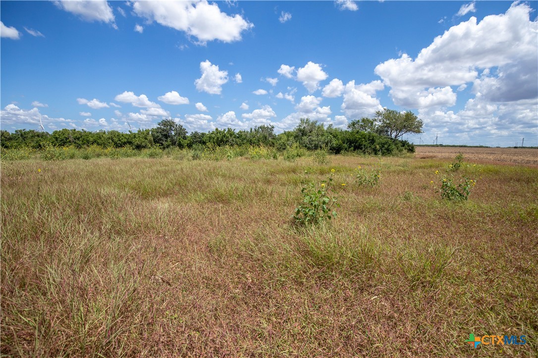 0 County Road 647 Mathis, TX 78368 - Photo 19 of 47