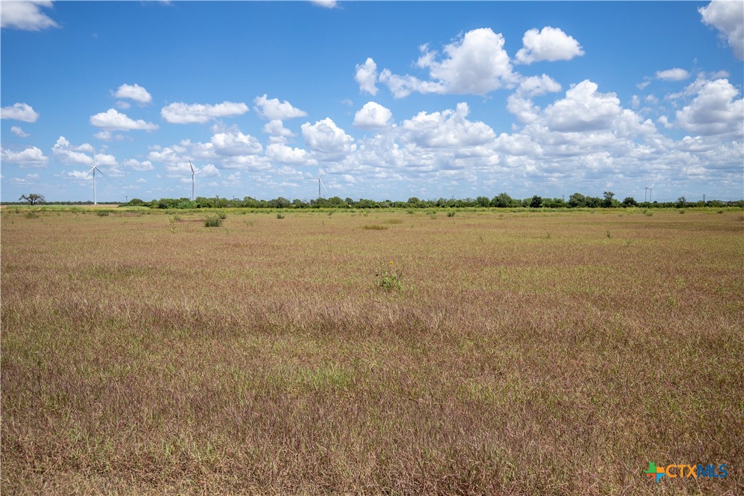 0 County Road 647 Mathis, TX 78368 - Photo 35 of 47