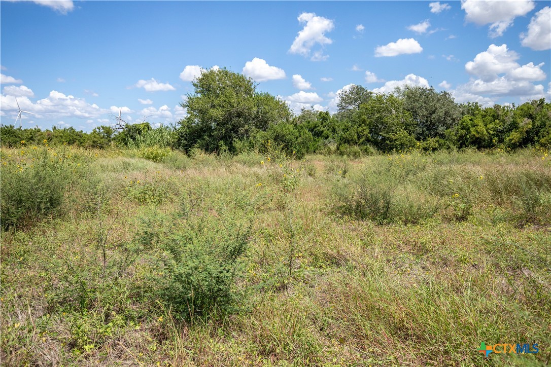 0 County Road 647 Mathis, TX 78368 - Photo 39 of 47 a view of a yard with a tree
