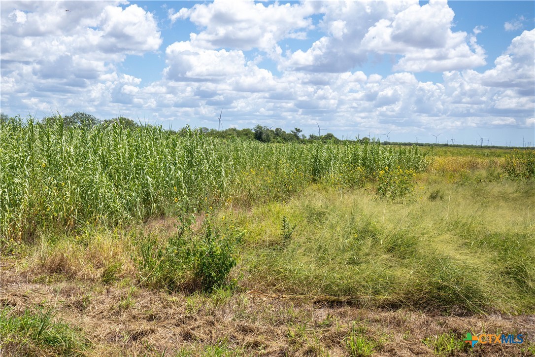 0 County Road 647 Mathis, TX 78368 - Photo 41 of 47 a view of an outdoor space and a yard