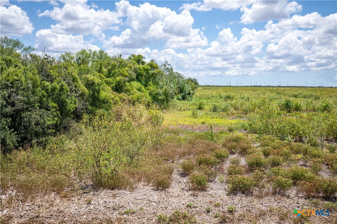 0 County Road 647 Mathis, TX 78368 - Photo 43 of 47