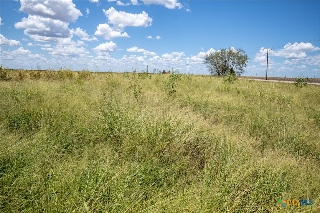 0 County Road 647 Mathis, TX 78368 - Photo 44 of 47