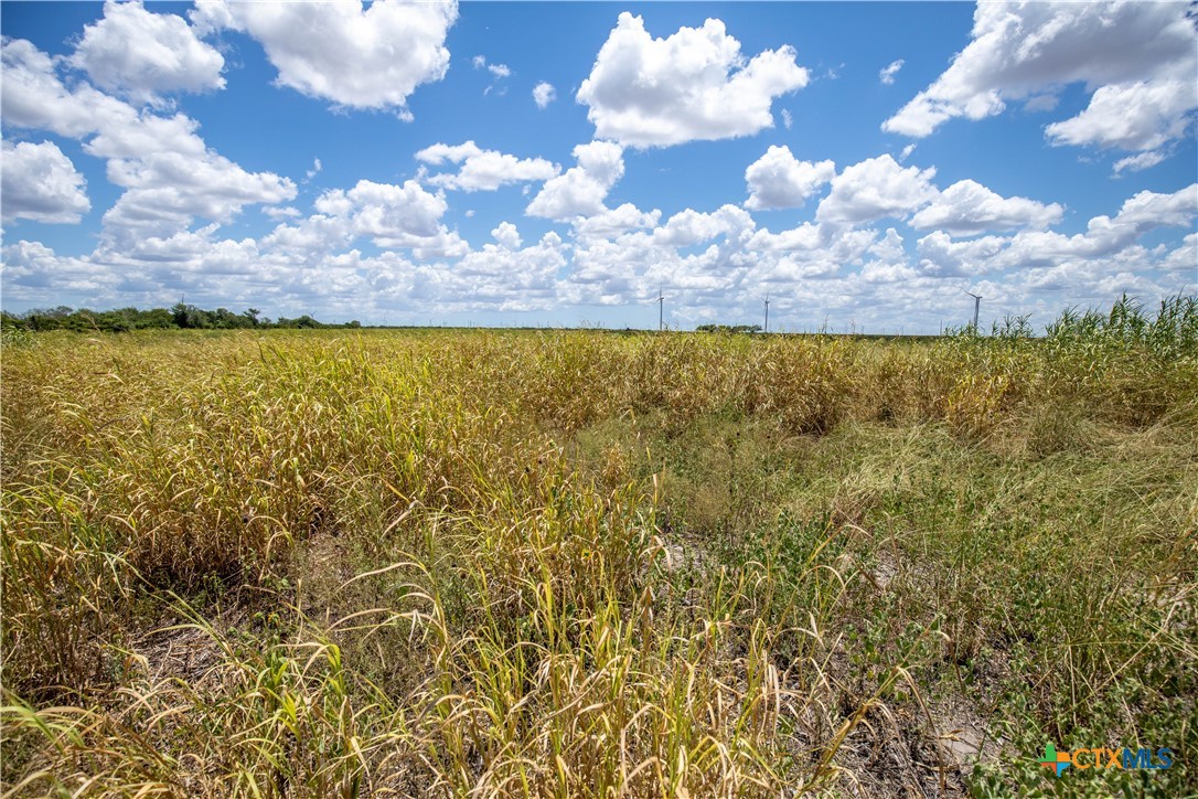 0 County Road 647 Mathis, TX 78368 - Photo 45 of 47 a view of a city