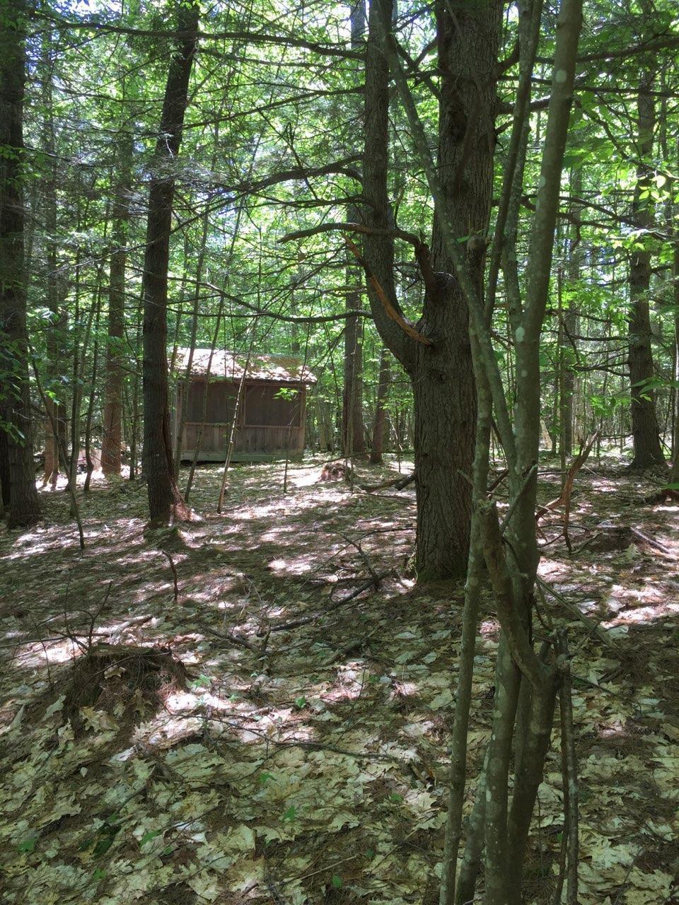 89 Gerry Road Otisfield, ME 04270 - Photo 5 of 14 screen house 4