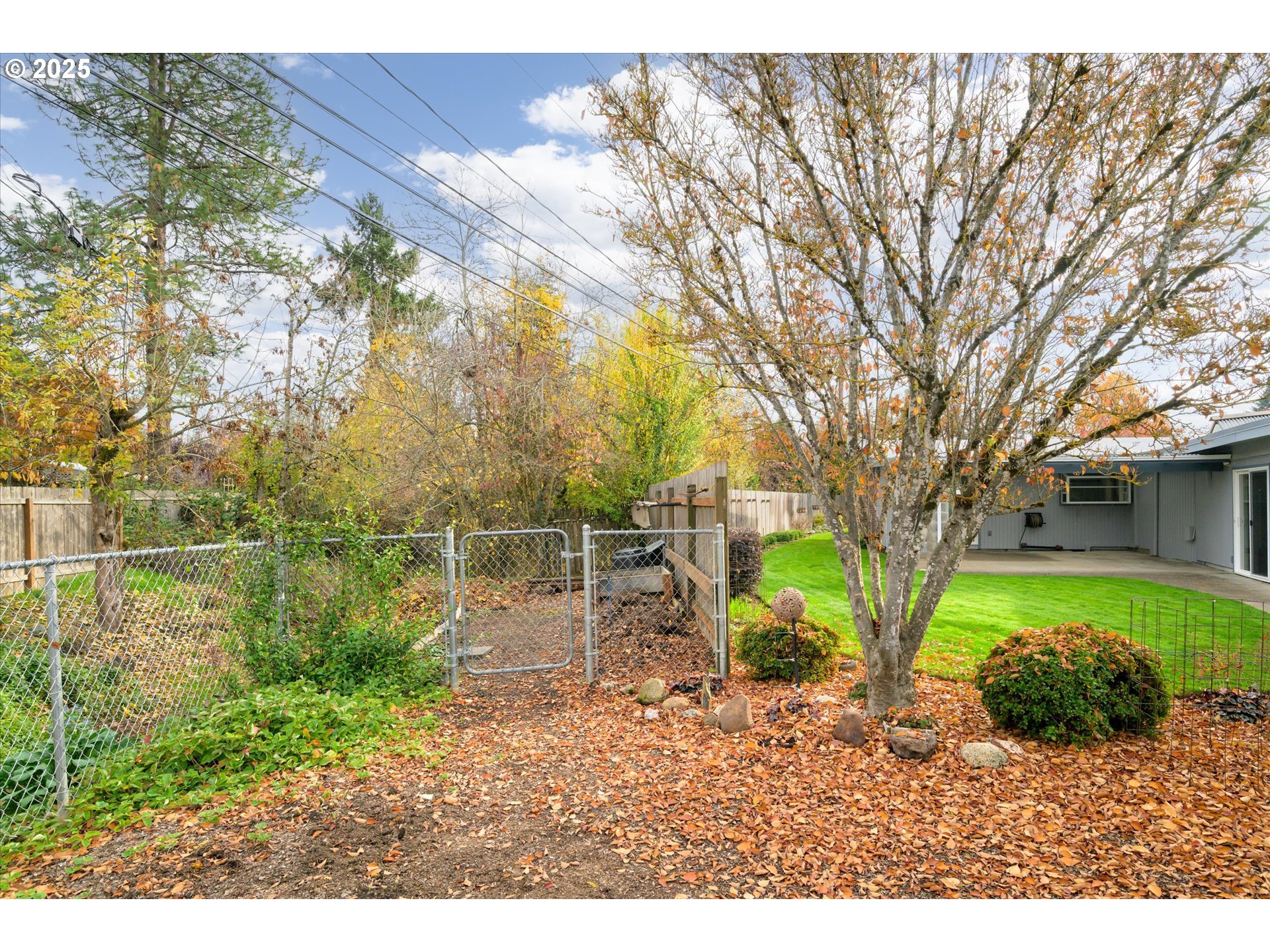 1637 Larkspur Loop Eugene, OR 97401 - Photo 39 of 48 Garden