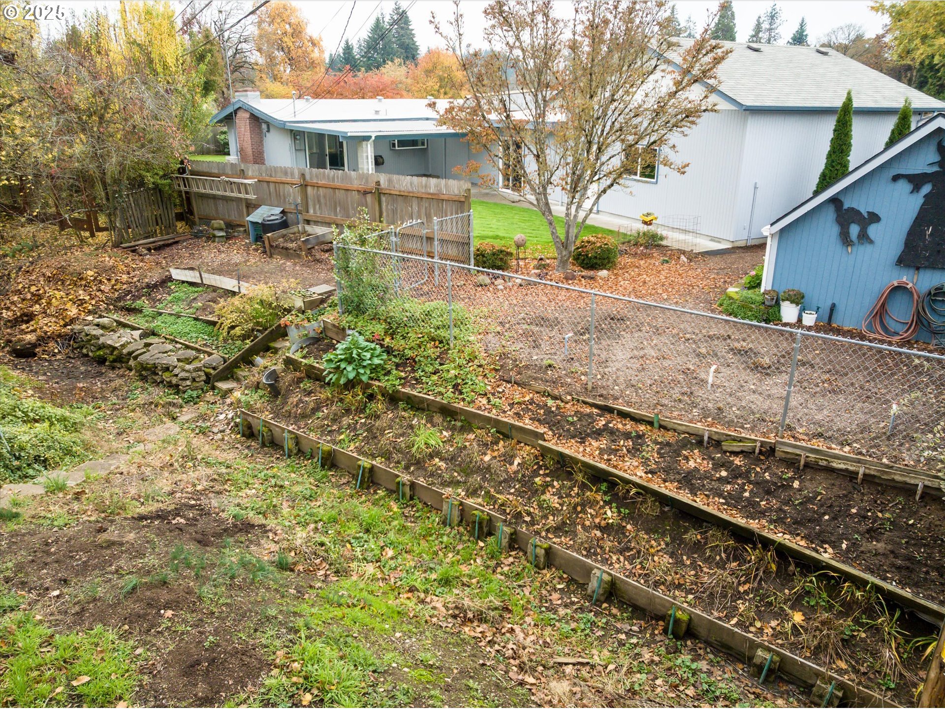1637 Larkspur Loop Eugene, OR 97401 - Photo 41 of 48 Garden