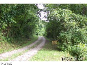 0 Rt 14 Elizabeth, WV 26143 - Photo 5 of 6 Gallery Image 5
