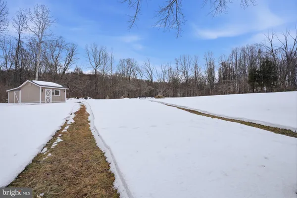 a view of a yard with trees in the background