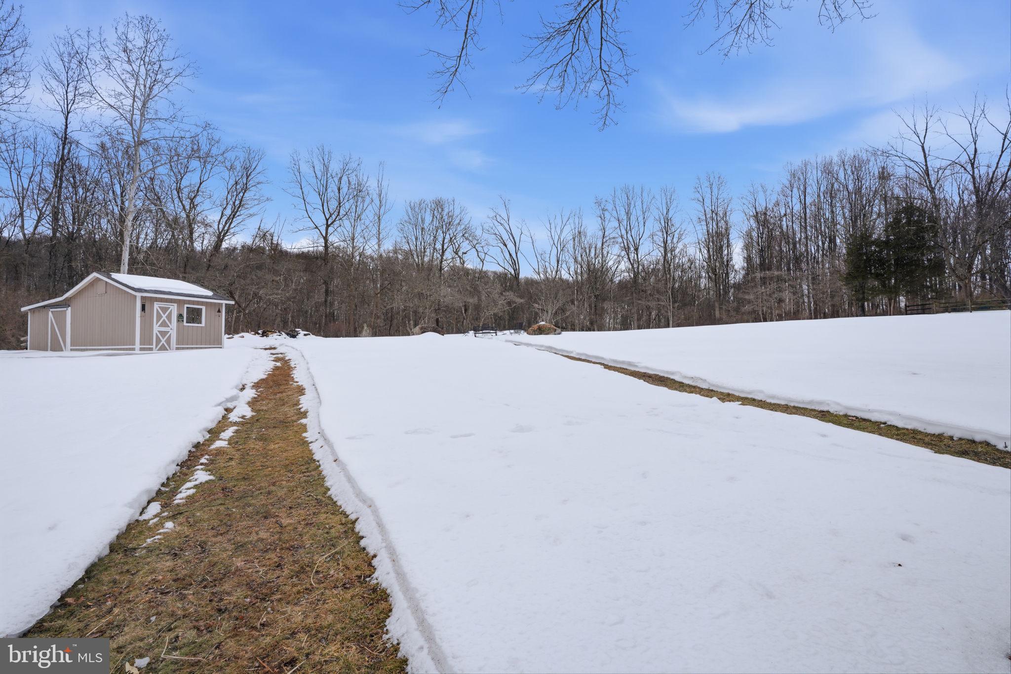 521 Cokesbury Road Annandale, NJ 08801 - Photo 36 of 56 a view of a yard with trees in the background