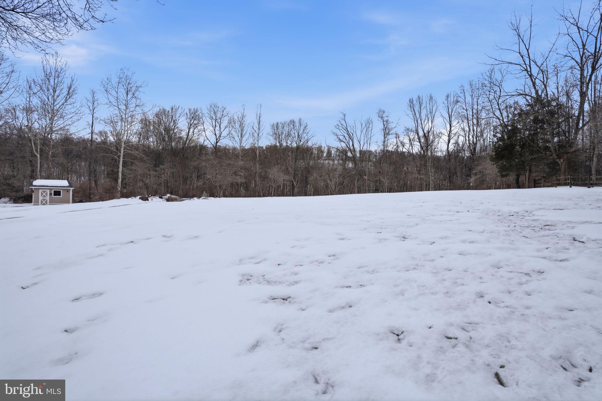 521 Cokesbury Road Annandale, NJ 08801 - Photo 37 of 56 a view of wooden space with trees in the background