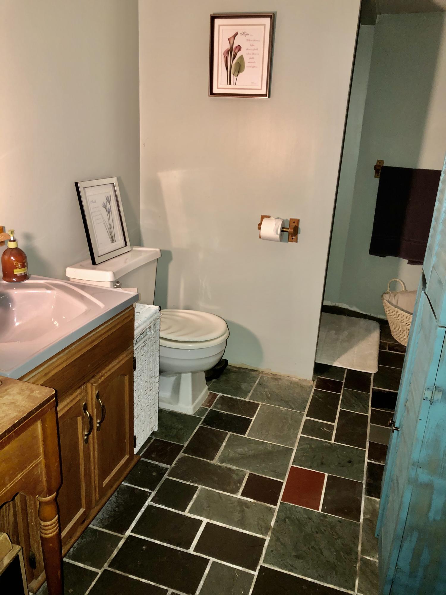 428 Black Mountain Road Harrison, ME 04040 - Photo 38 of 49 basement bath 2