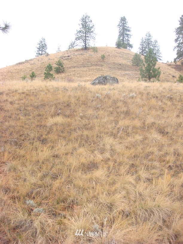 0 Chelan Springs Road Orondo, WA 98843 - Photo 7 of 8 Gallery Image 7
