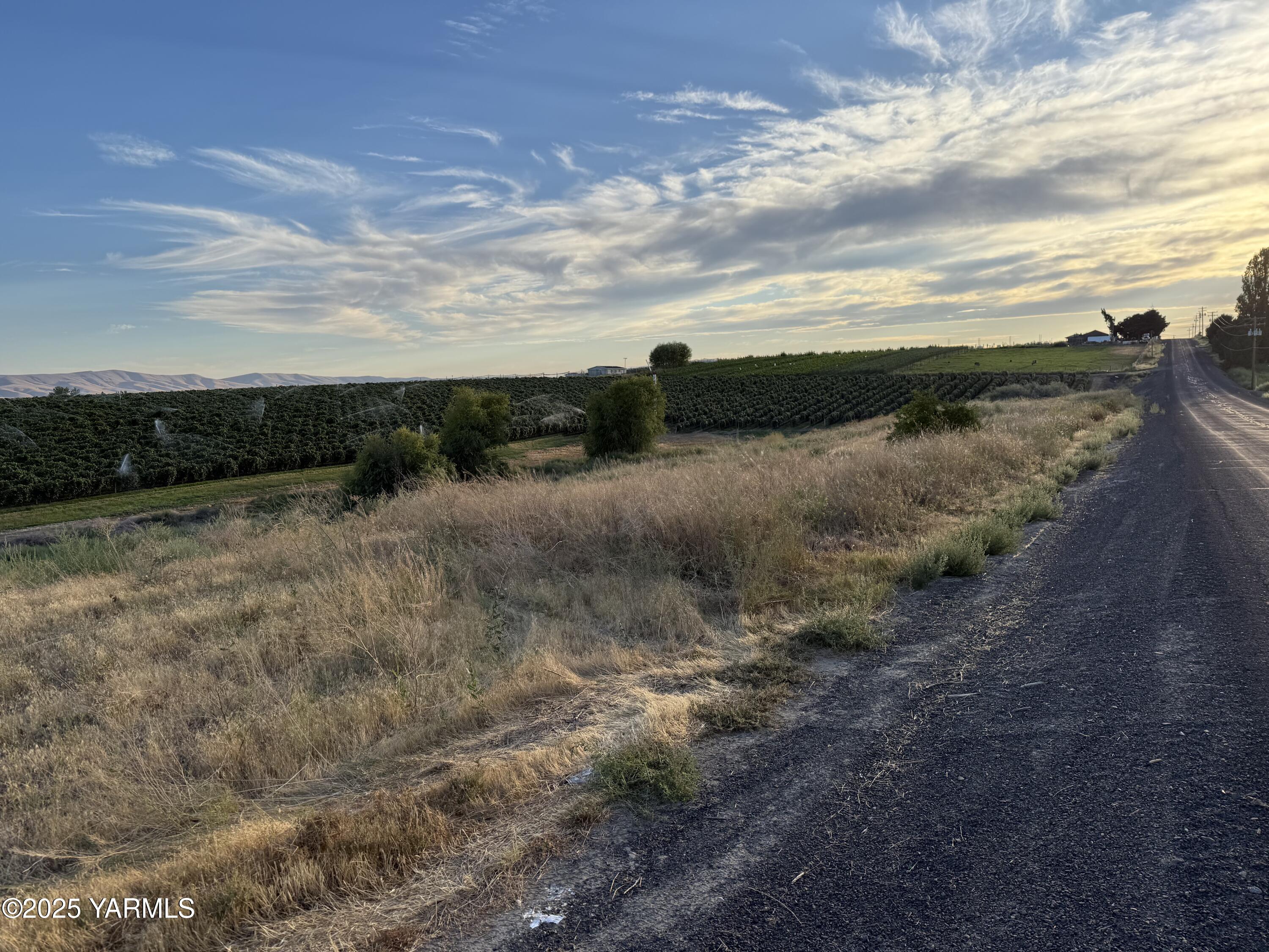 Tbd McCreadie Road Prosser, WA 99350 - Photo 2 of 10 IMG_8788