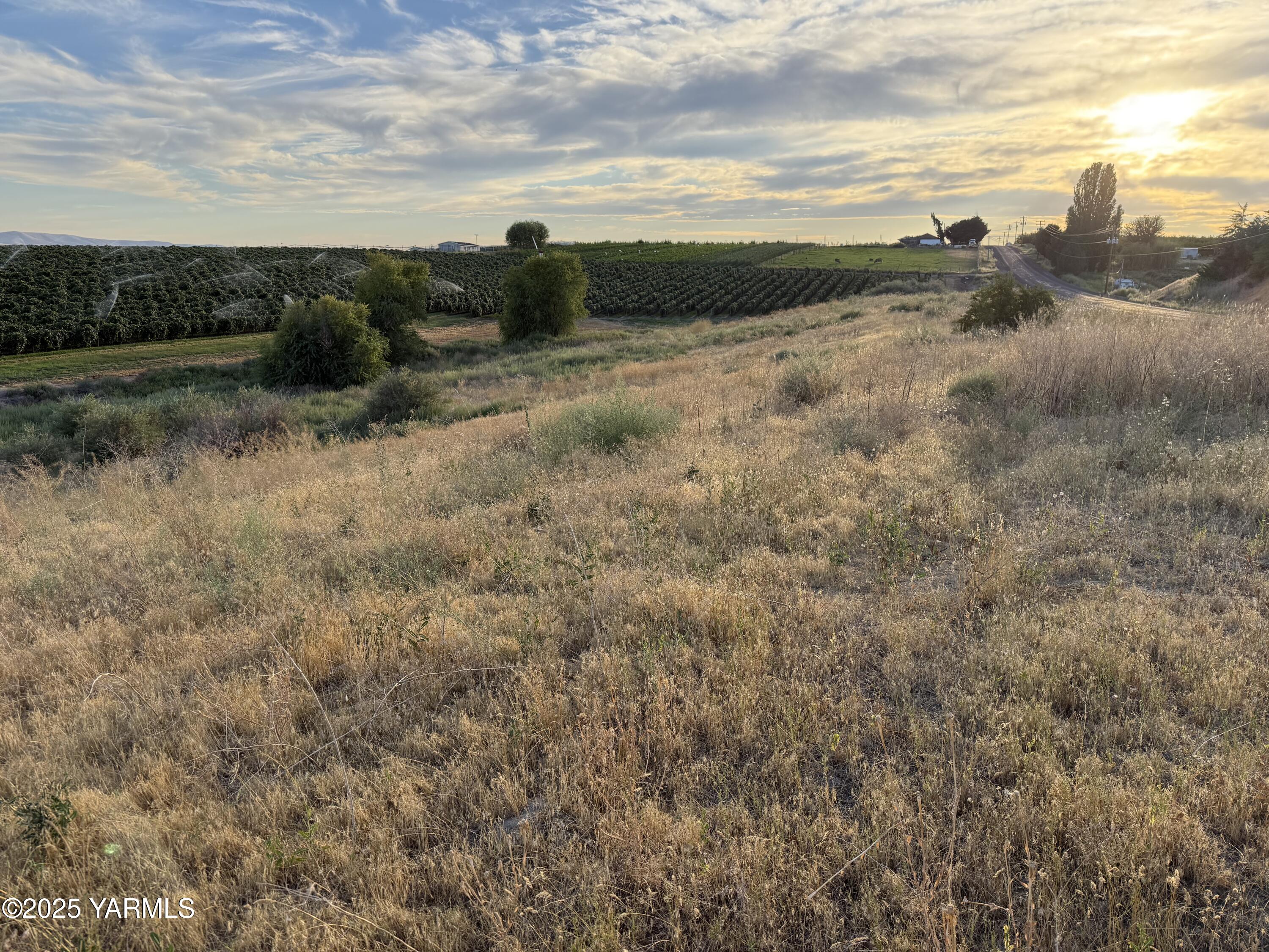 Tbd McCreadie Road Prosser, WA 99350 - Photo 5 of 10 IMG_8791