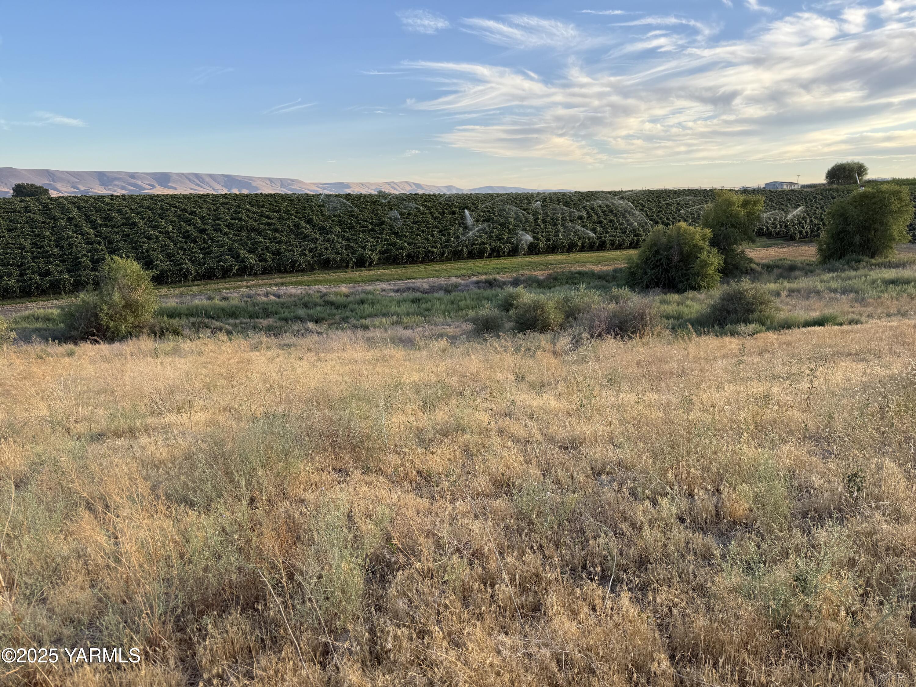 Tbd McCreadie Road Prosser, WA 99350 - Photo 6 of 10 IMG_8792