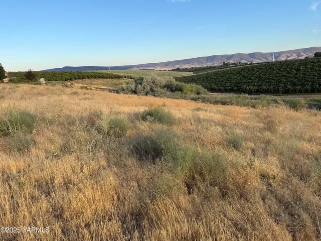 a view of lake and mountain