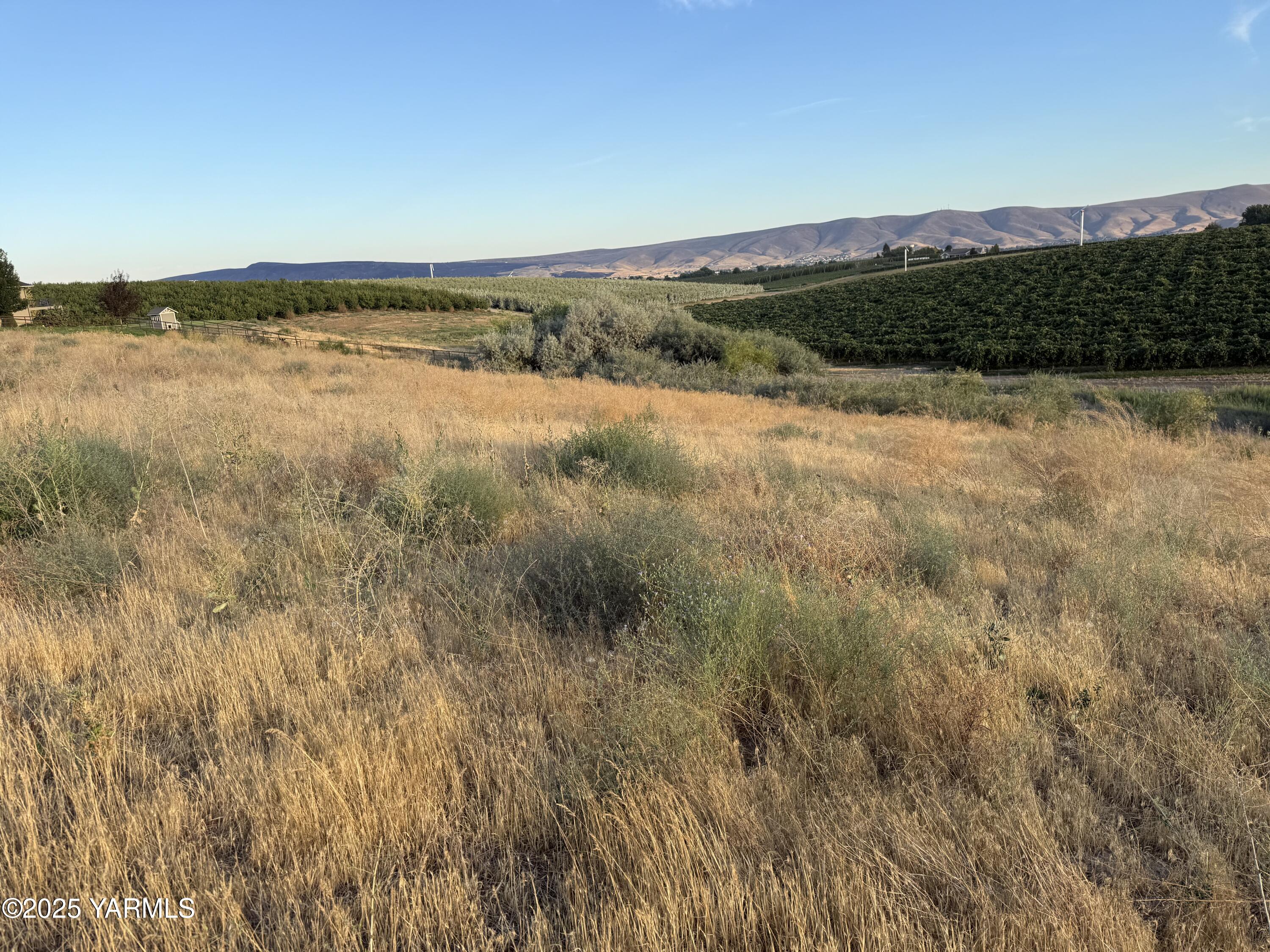 Tbd McCreadie Road Prosser, WA 99350 - Photo 7 of 10 IMG_8793