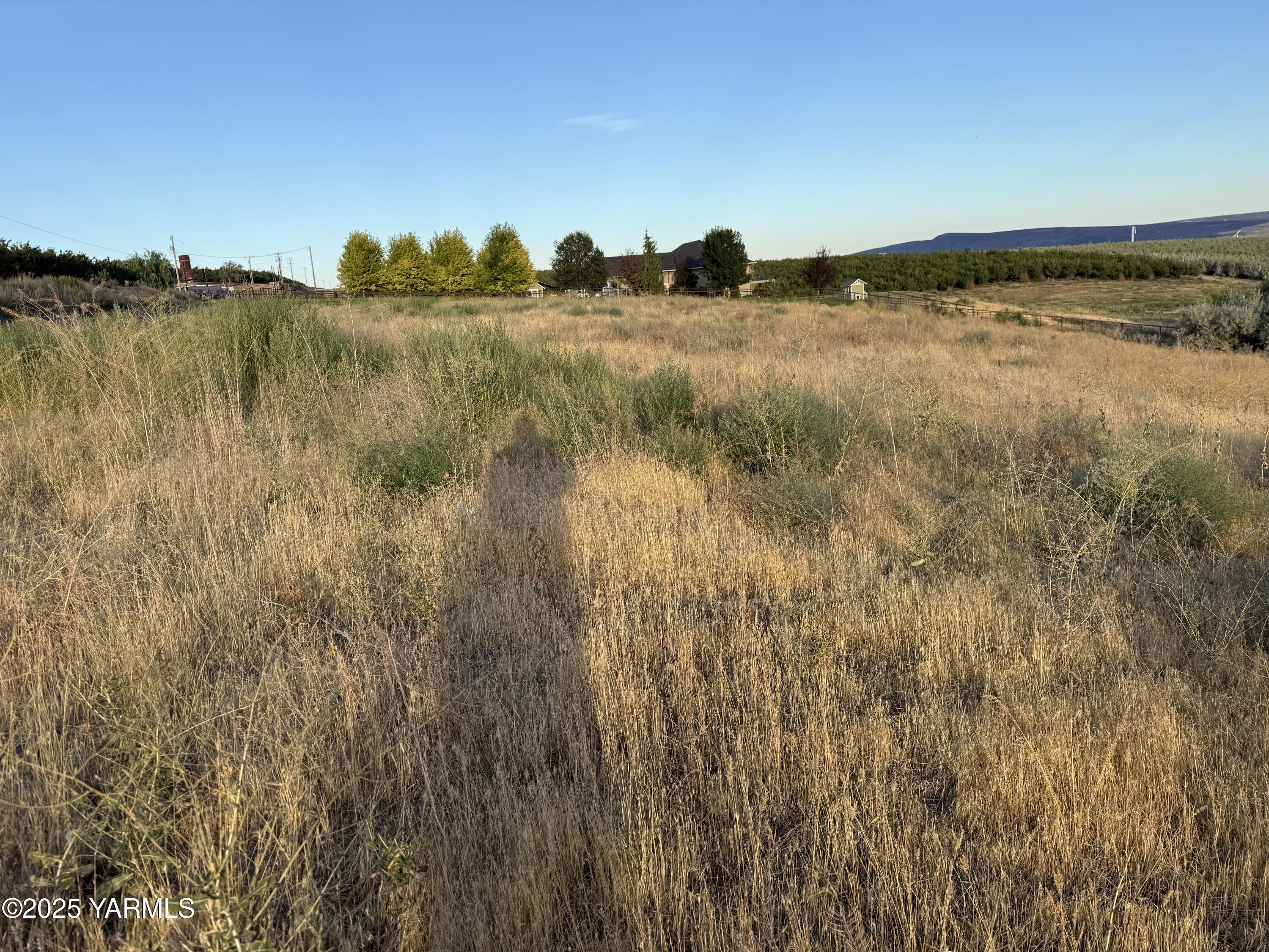 Tbd McCreadie Road Prosser, WA 99350 - Photo 8 of 10 IMG_8794