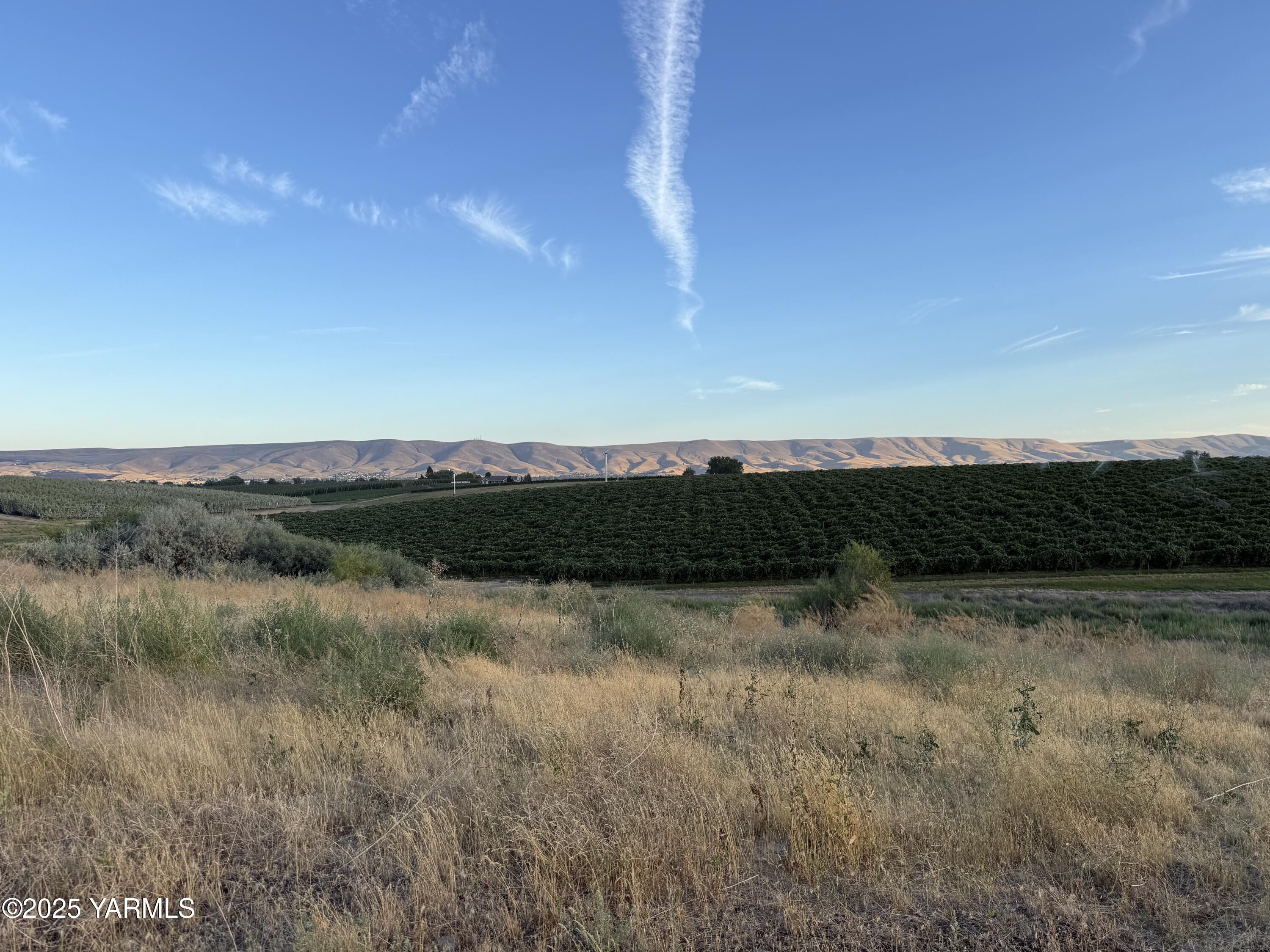 Tbd McCreadie Road Prosser, WA 99350 - Photo 10 of 10 IMG_8796