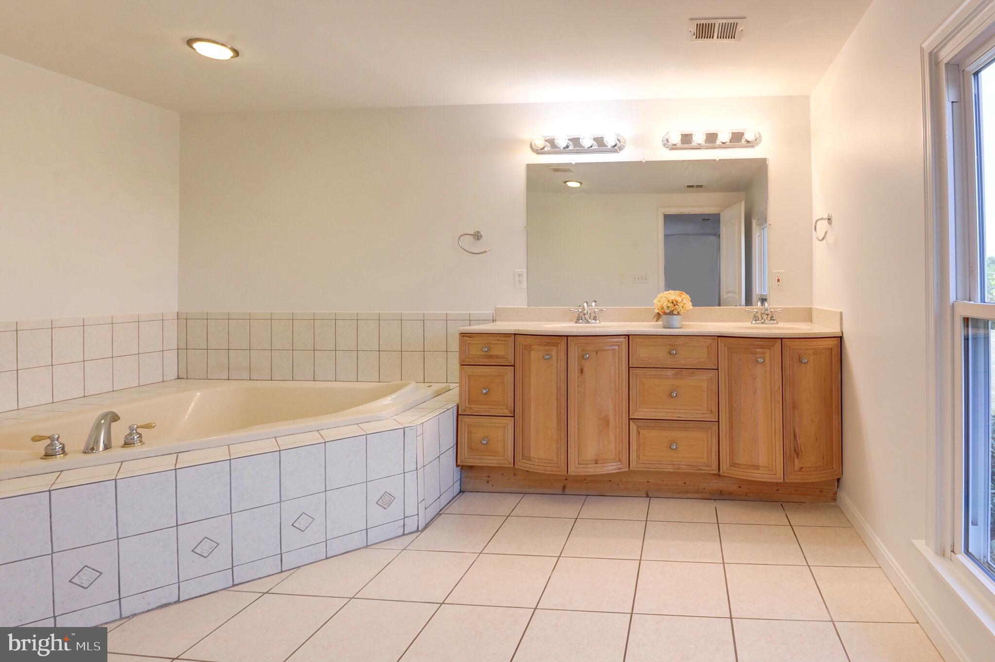 23124 Watson Road Leesburg, VA 20175 - Photo 31 of 57 Main Level Primary Bath
