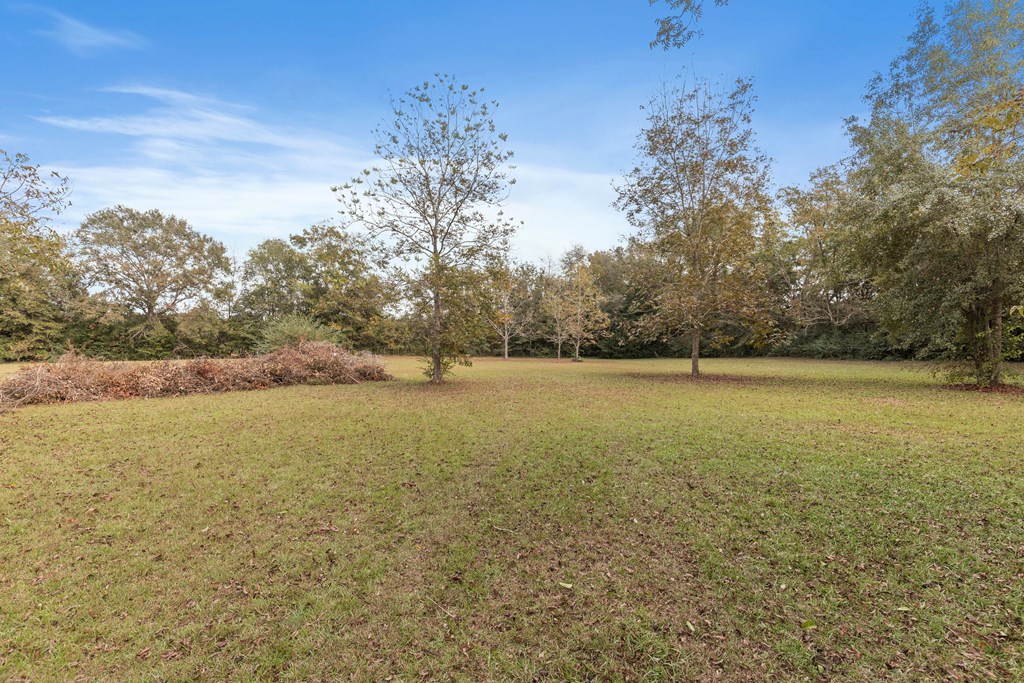 459 Mitchell Road Hartford, AL 36344 - Photo 25 of 32
