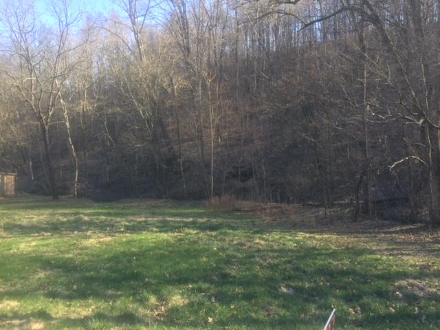 a view of a yard