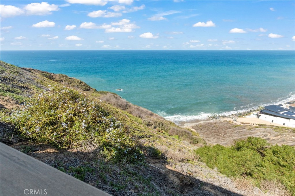34365 Dana Strand Road, Unit 1 Dana Point, CA 92629 - Photo 42 of 43 Gallery Image 42