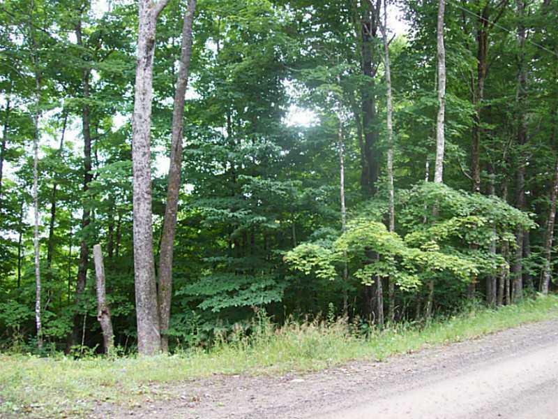 Lot 13 Arab Road Lee, ME 04455 - Photo 6 of 11 Land/Lot.