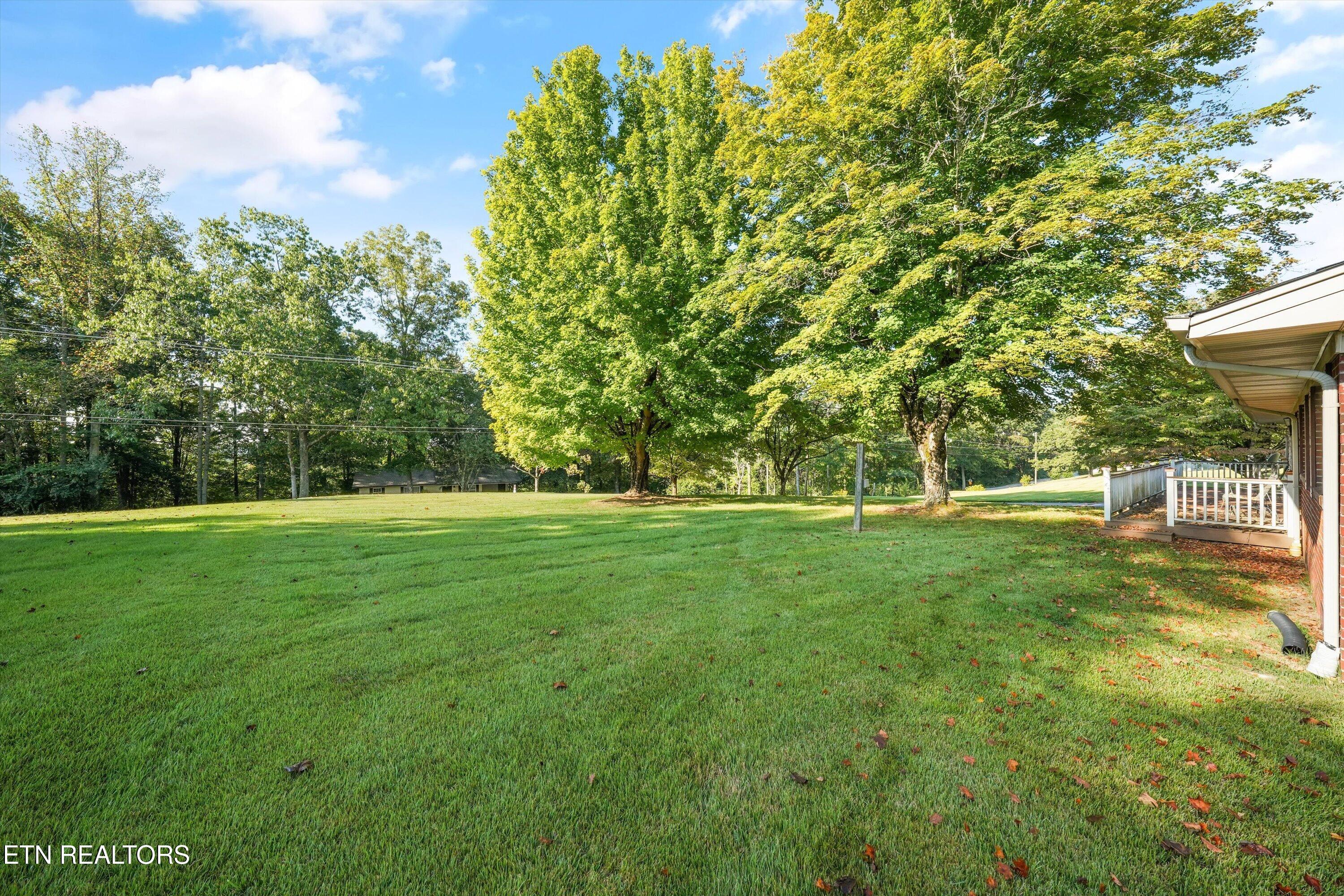813-815 Stephens Road Rocky Top, TN 37769 - Photo 33 of 51 33-815 Stephens Rd30