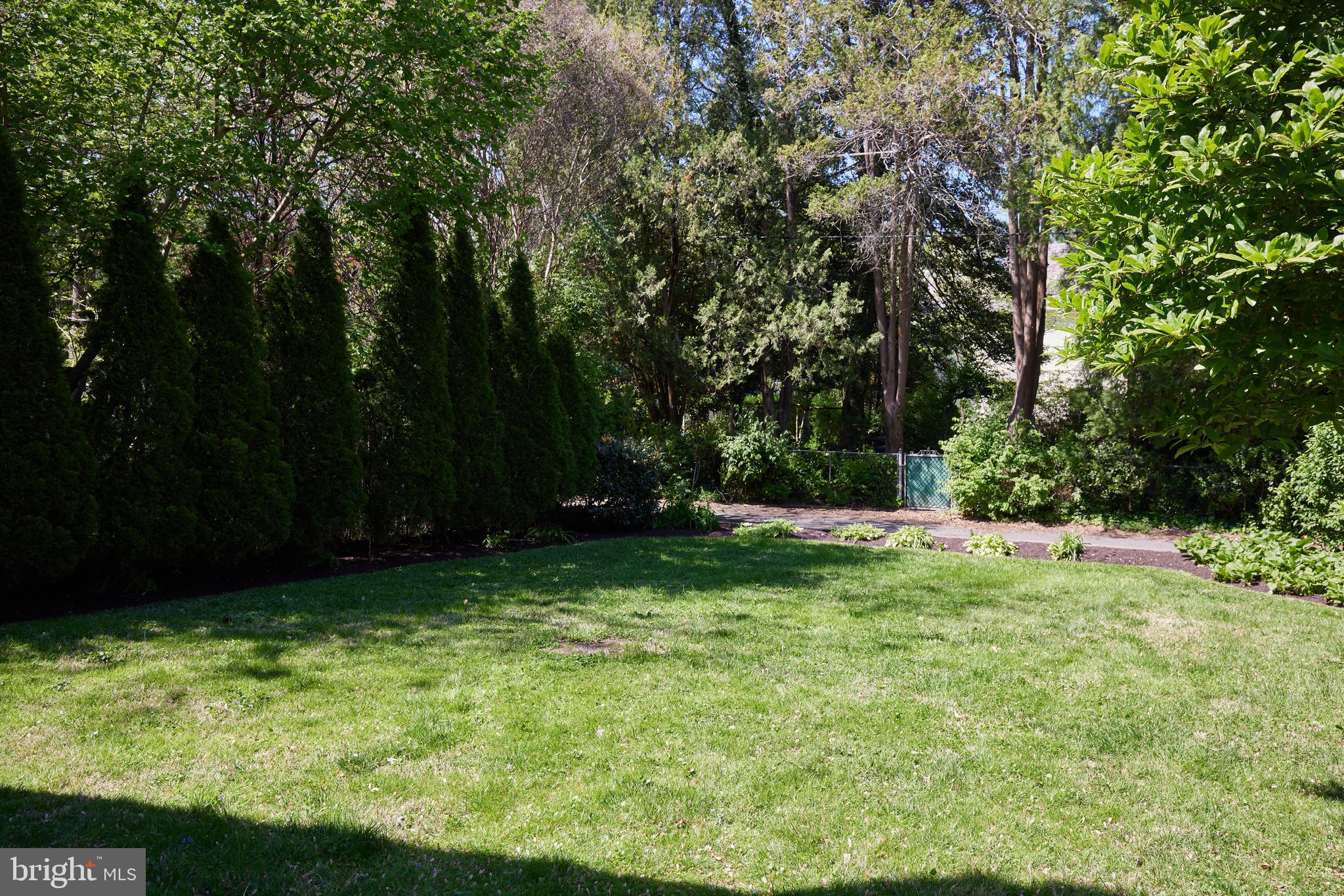 3501 Alton Place Northwest Washington, DC 20008 - Photo 24 of 29 a view of backyard with green space