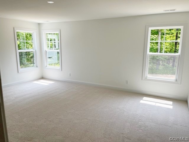 9249 Moldova Road Chesterfield, VA 23832 - Photo 10 of 22 an empty room with windows