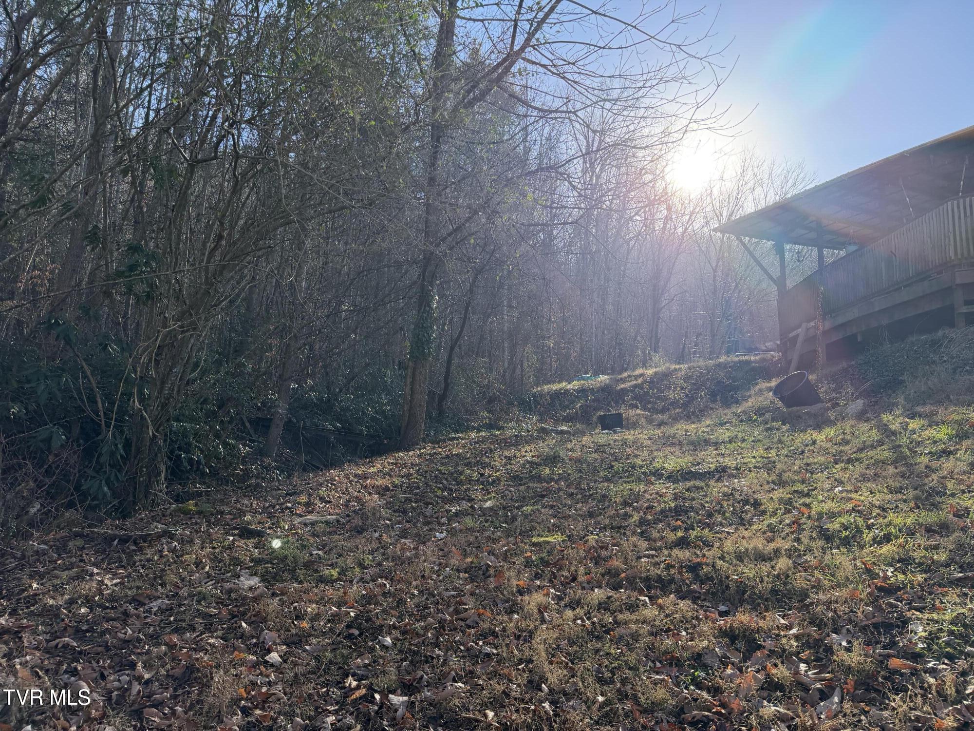 208 Sycamore Street Erwin, TN 37650 - Photo 12 of 48 IMG_5155