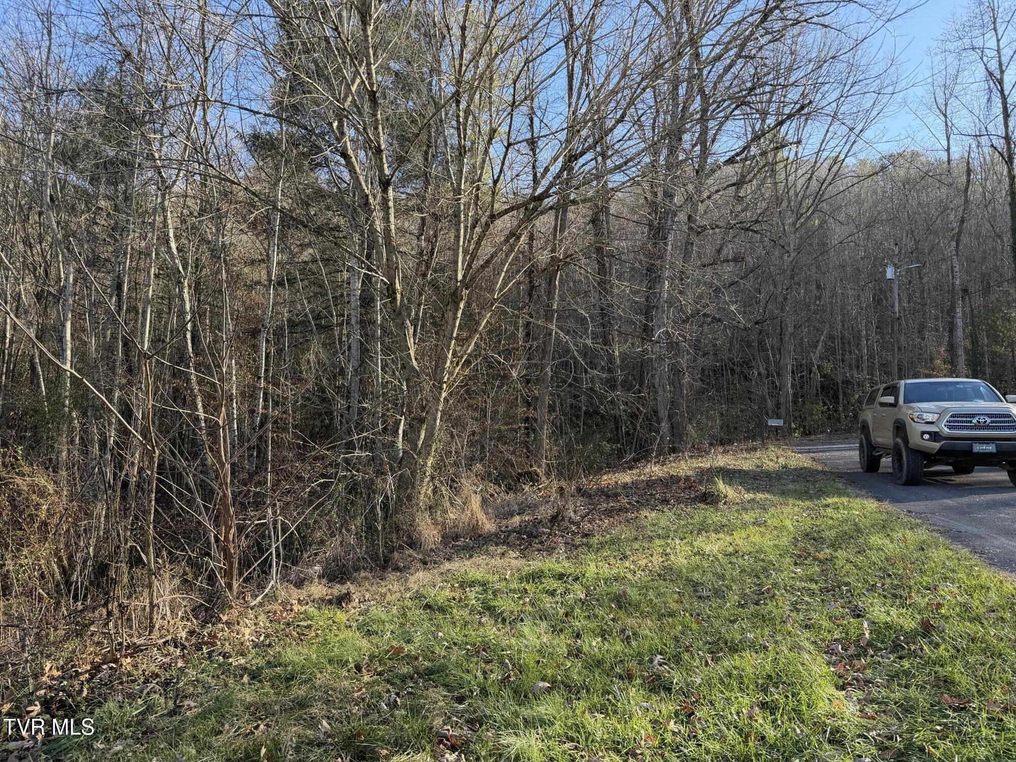 208 Sycamore Street Erwin, TN 37650 - Photo 13 of 48 IMG_5160