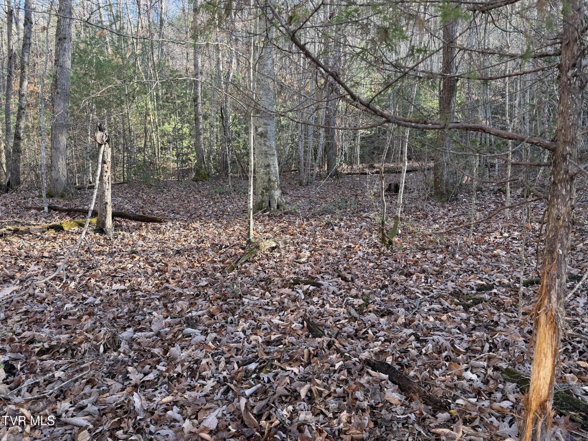 208 Sycamore Street Erwin, TN 37650 - Photo 14 of 48 IMG_5153