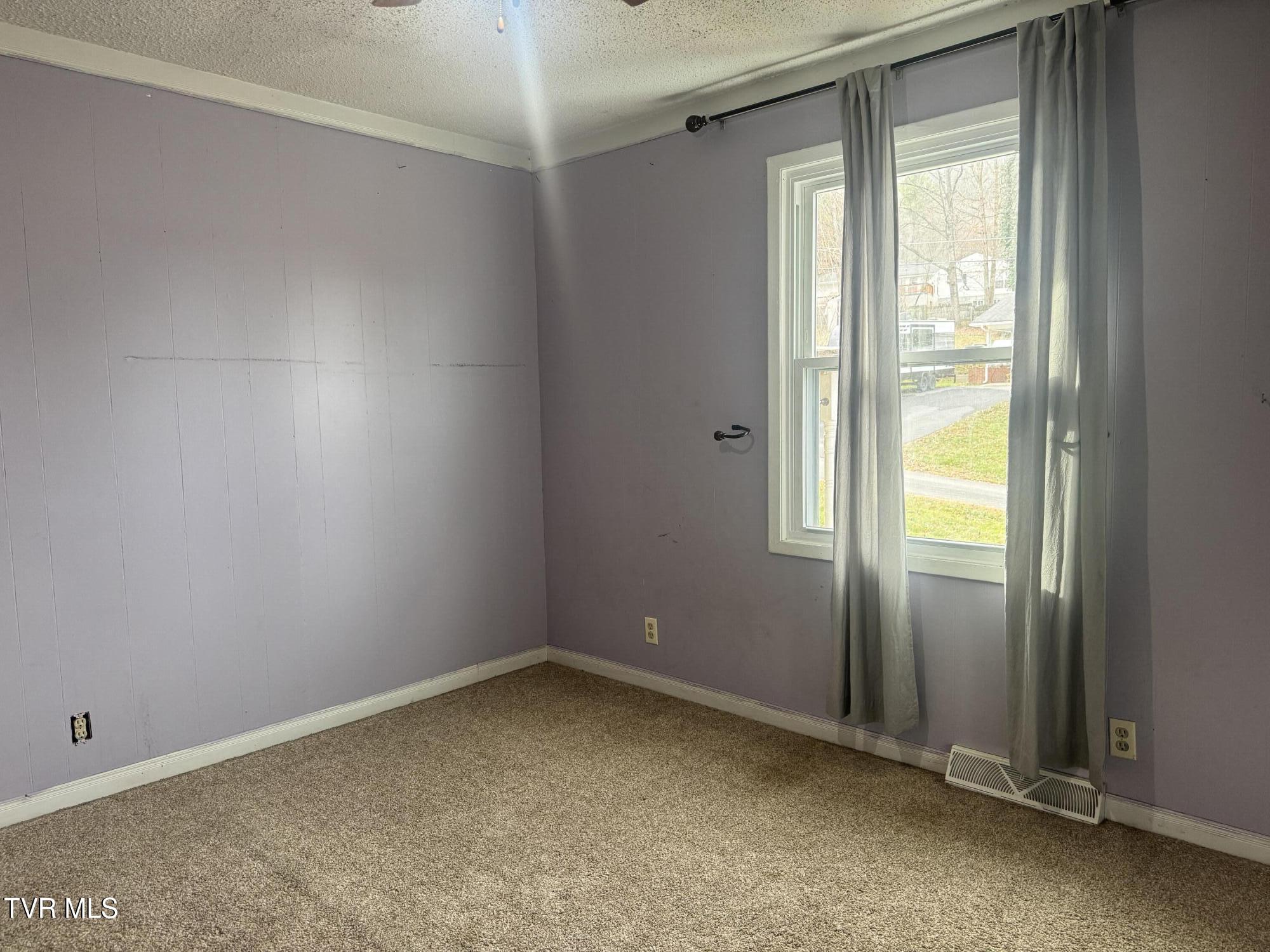 208 Sycamore Street Erwin, TN 37650 - Photo 30 of 48 IMG_5111